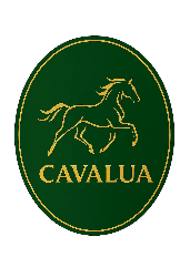 Pferdepension Cavalluccio